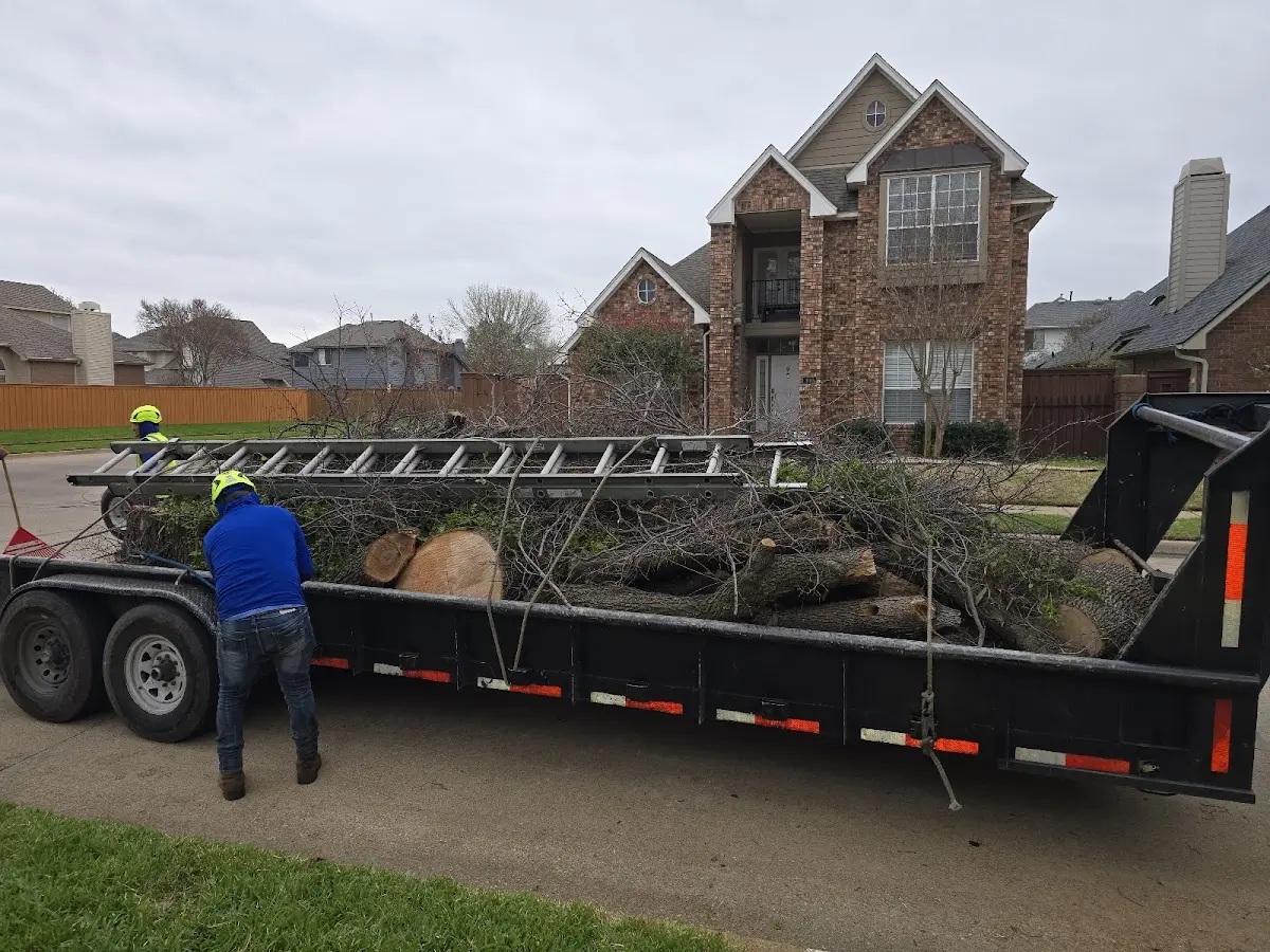 Expert Tree Pest Control with proper safety equipment in South New Berlin
